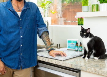 Jackson Galaxy: The Cat Behavior Authority Transforming the Way We Care for Cats — Why His Products Are Worth Every Penny
