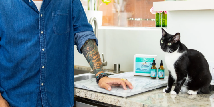 Jackson Galaxy: The Cat Behavior Authority Transforming the Way We Care for Cats — Why His Products Are Worth Every Penny Jackson Galaxy: The Cat Behavior Authority Transforming the Way We Care for Cats — Why His Products Are Worth Every Penny